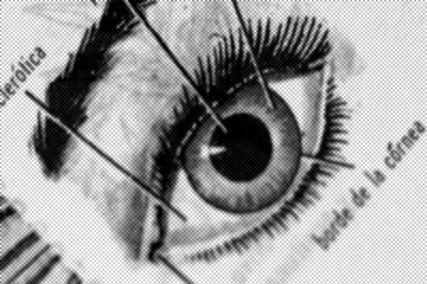 Continuum - Detail 2