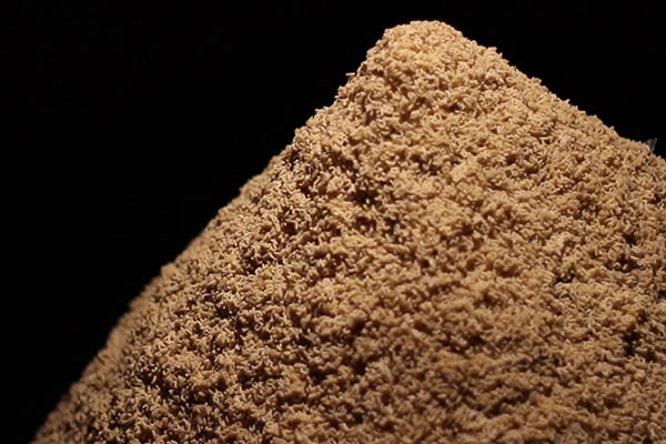 La Montaña es la Montaña - Detail 1